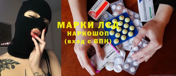 сатива Нефтекумск