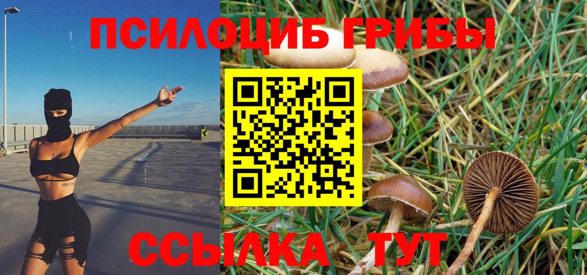 Галлюциногенные грибы прущие грибы  как найти наркотики  Новодвинск  Вход с VPN 