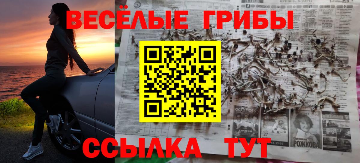 Галлюциногенные грибы прущие грибы Новодвинск