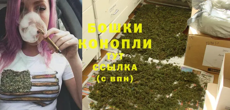 где можно купить наркотик  Новодвинск  Канабис OG Kush 