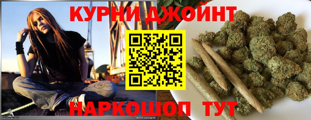 Марихуана Новодвинск