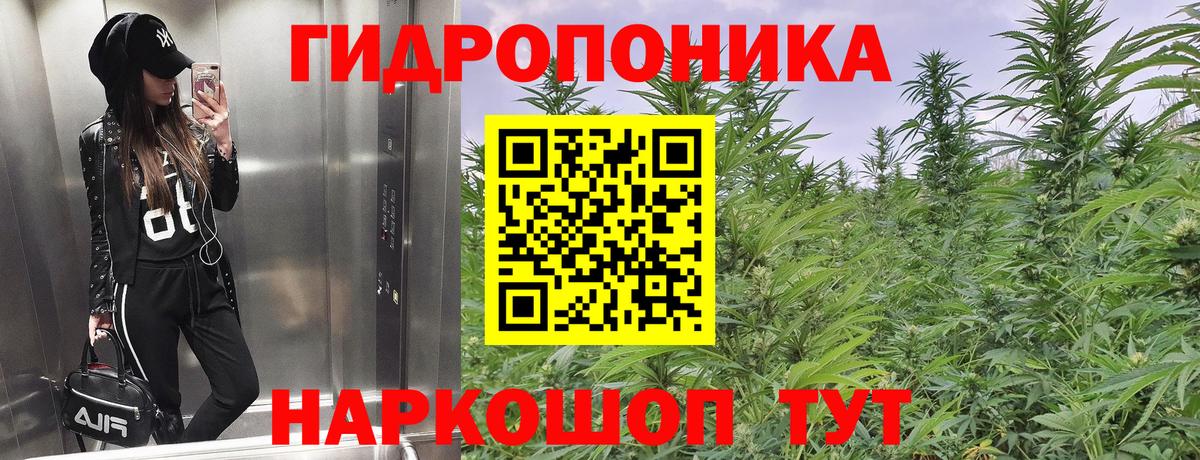 Каннабис SATIVA & INDICA  Вход с VPN  МАРИХУАНА SATIVA & INDICA  Новодвинск 